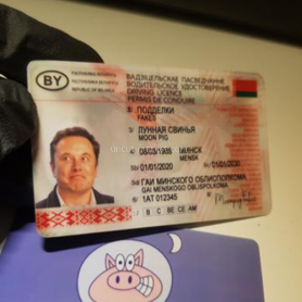 Fake Albanian Driver's License