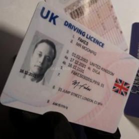 Fake UK Driver's Licence