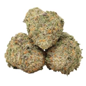Hippie Crack Marijuana Strain
