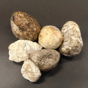ambergris for sale