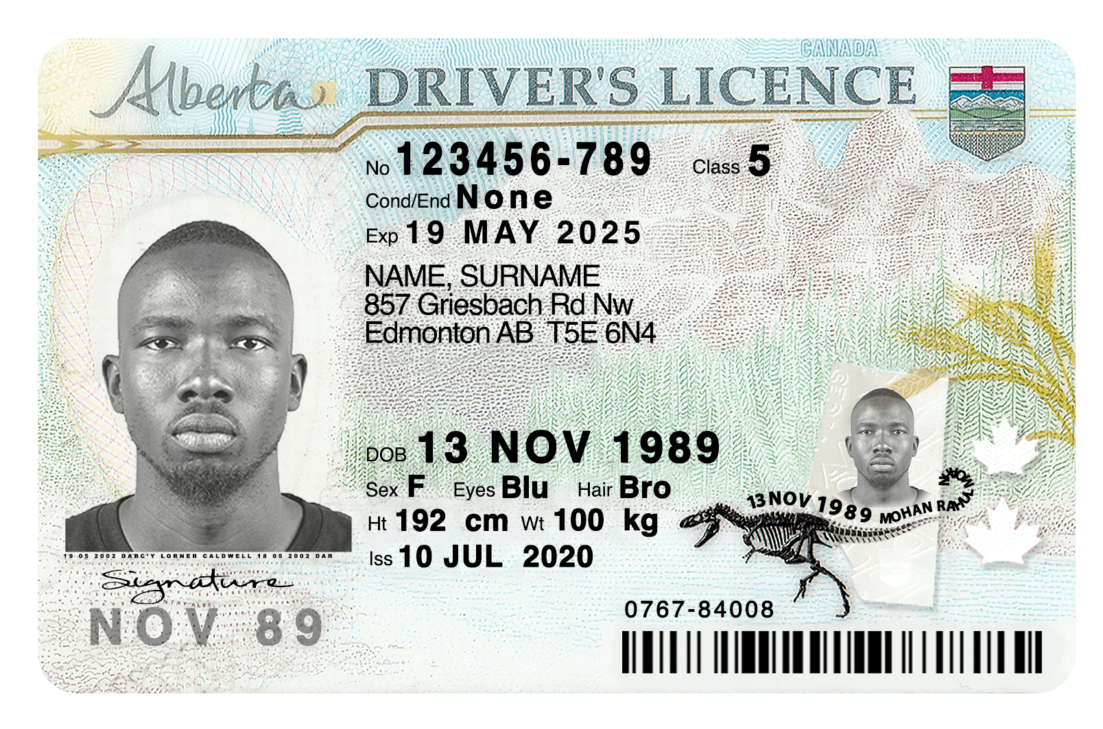 Buy Alberta Fake Driver’s License