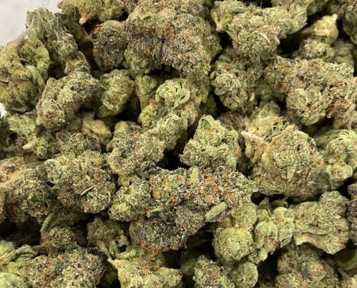 Animal Cookies Strain
