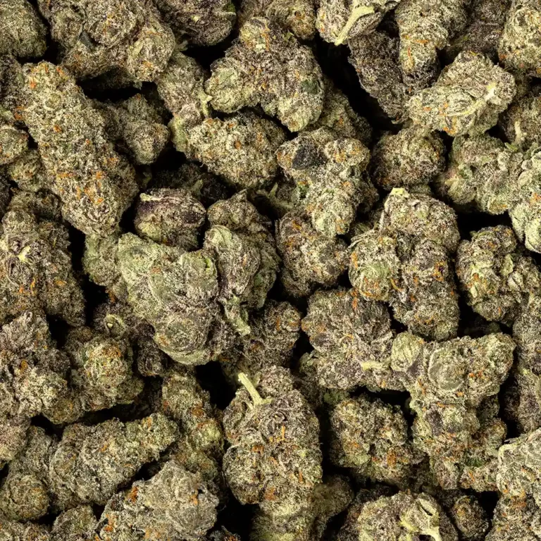 Biscotti x Ether Strain