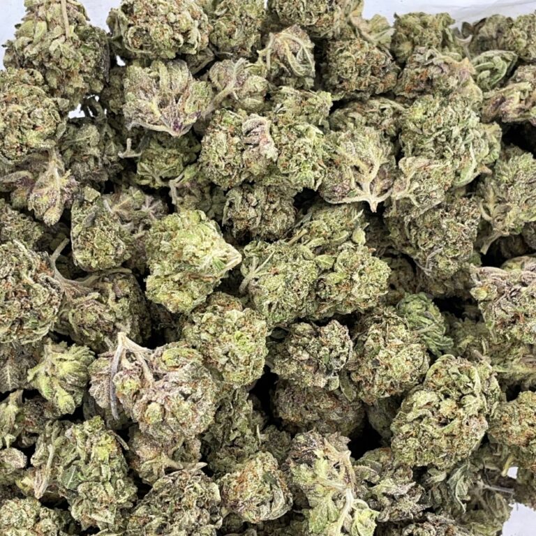Black Gas Strain