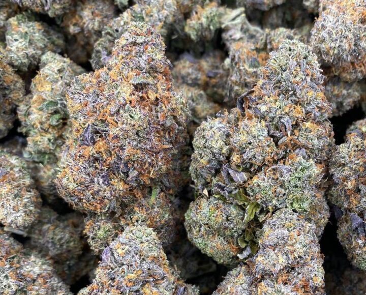 Black Widow Strain