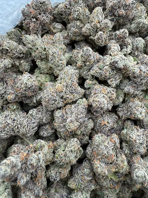 Blue Cookies Strain