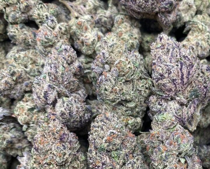 Blue Poison Strain