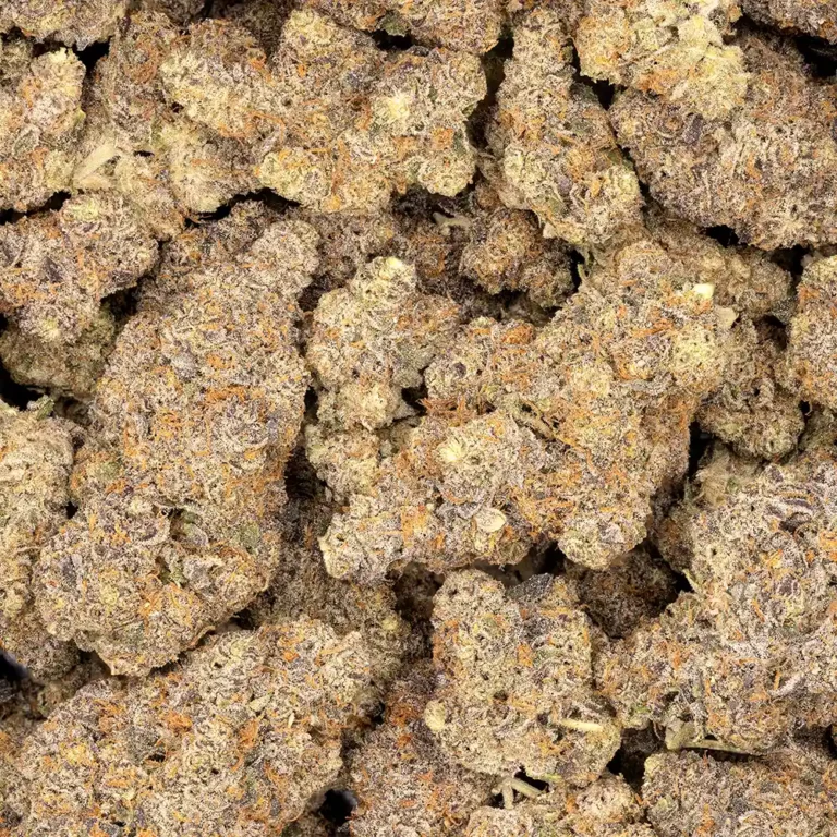 Carbon Fiber Strain