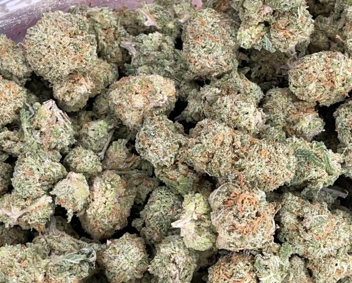 Citrique Strain