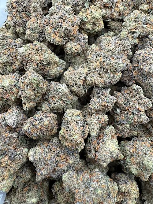 DNA Strain