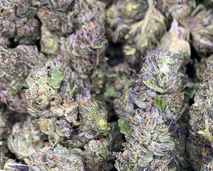Fryday Kush Strain
