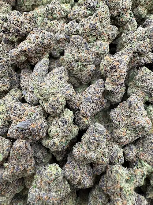 Gorilla Glue #4 Strain