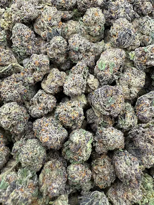 High School Sweethearts strain