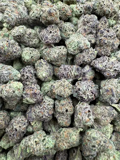 High Society Strain