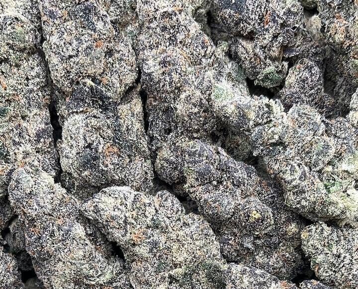 Purple Killer – PK373
