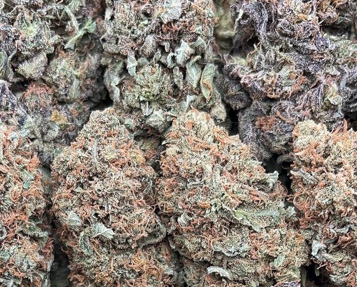 Platinum Calyx – PK367