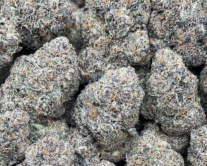 Northern Lights – PK352