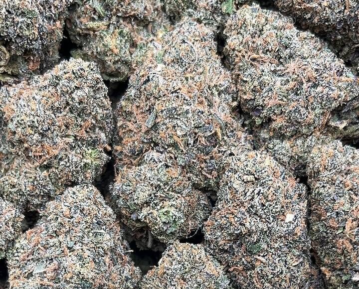 LA Soda – PK341