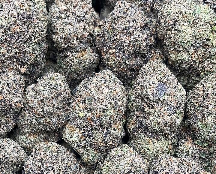 Blue Cheese Strain– PK339