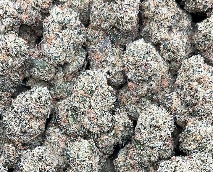 Gorilla Mintz – PK338