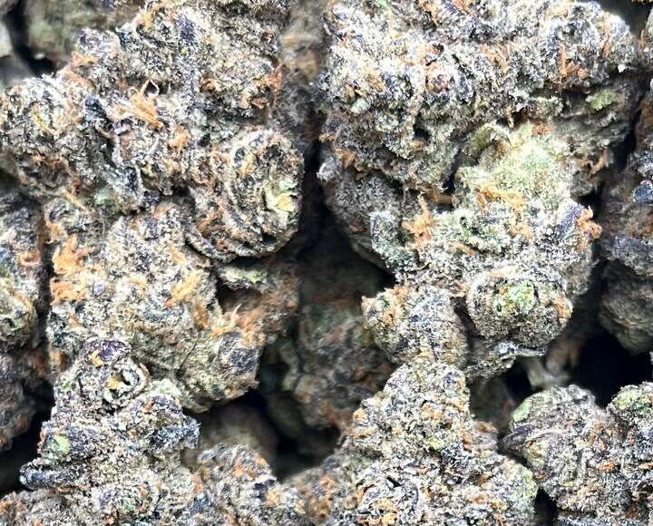 Blue Alien – PK103