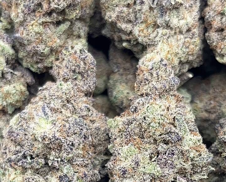 Space Cake – PK105