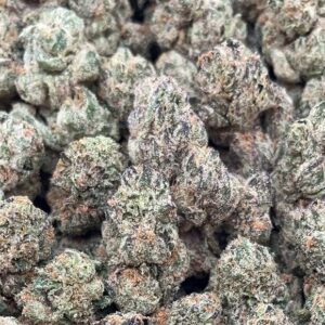 Black Tuna PK-345