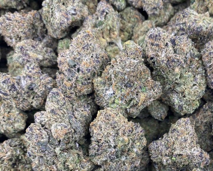 Lava Rock Strain