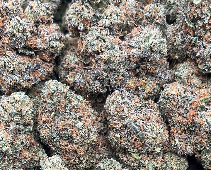 Mega Runtz Strain– PK388