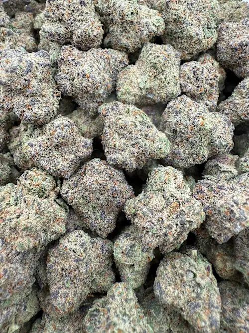 Mojilato Strain