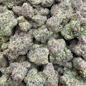 OGKB Strain