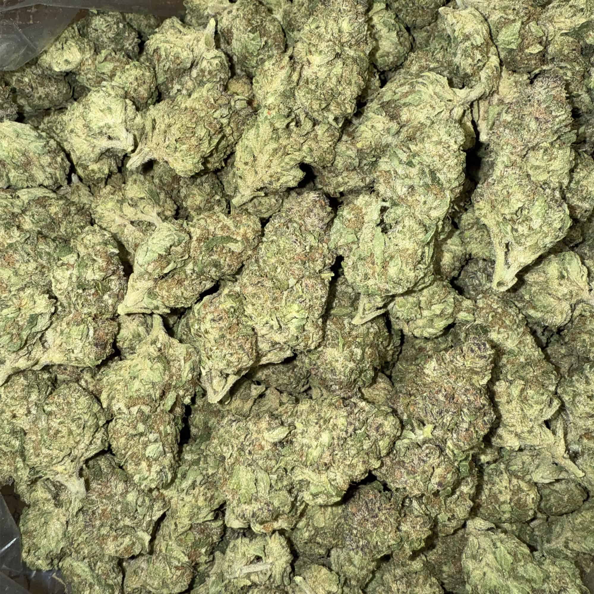 Papaya Punch THCA Flower