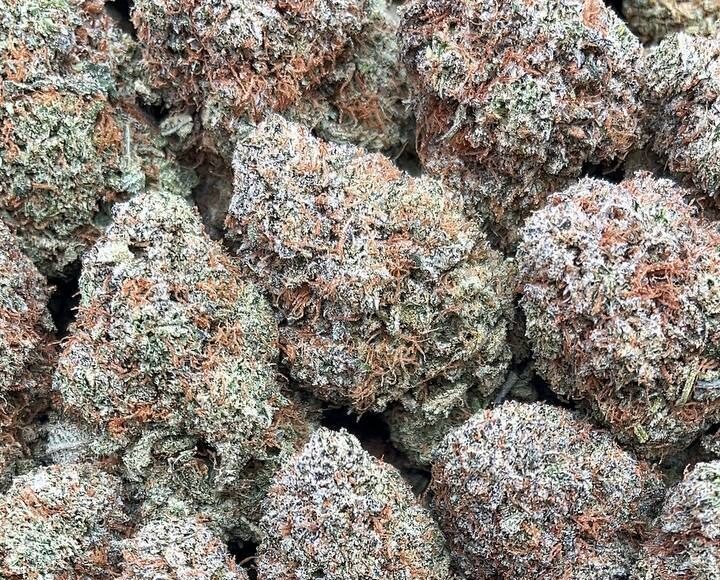 Platinum Bubba Strain– PK378