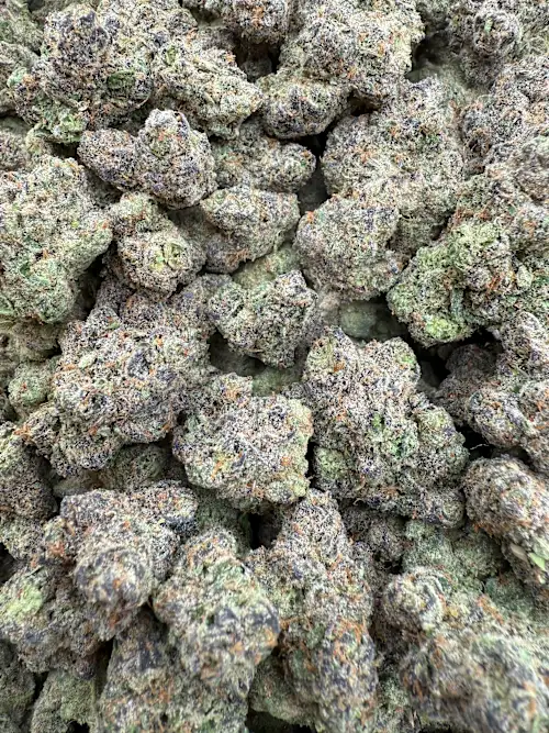 Ponche Nuevo Strain