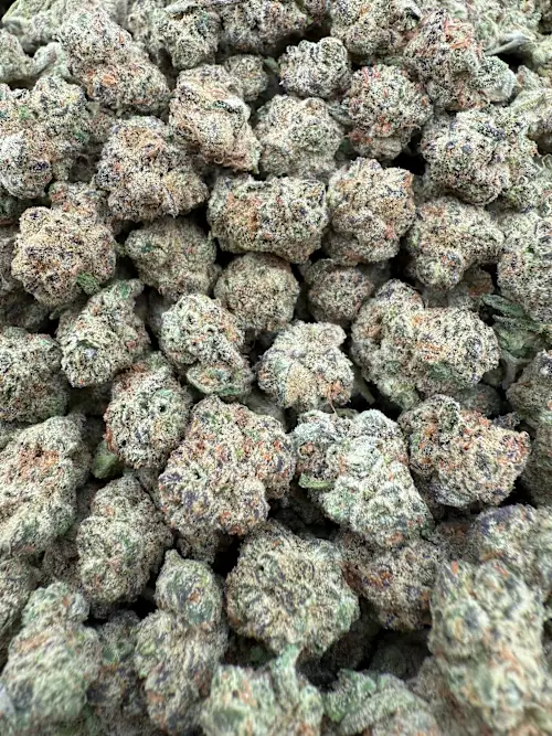 SFV OG Strain