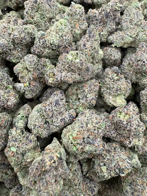 Snoop's Dream Strain