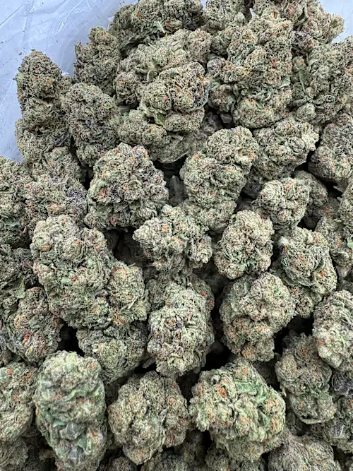 Stay Puft Strain