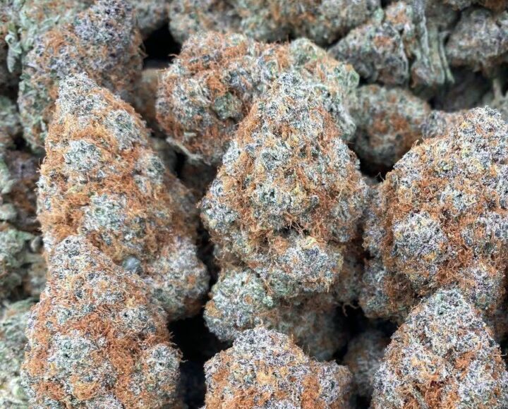 Super Boof Strain