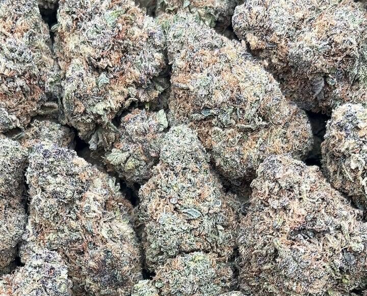 Zkittlez Strain– PK381