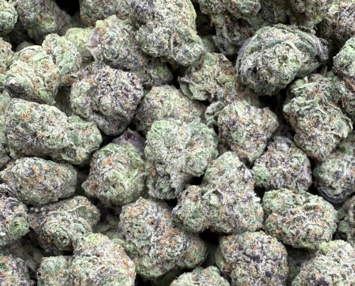 Zootiez Strain