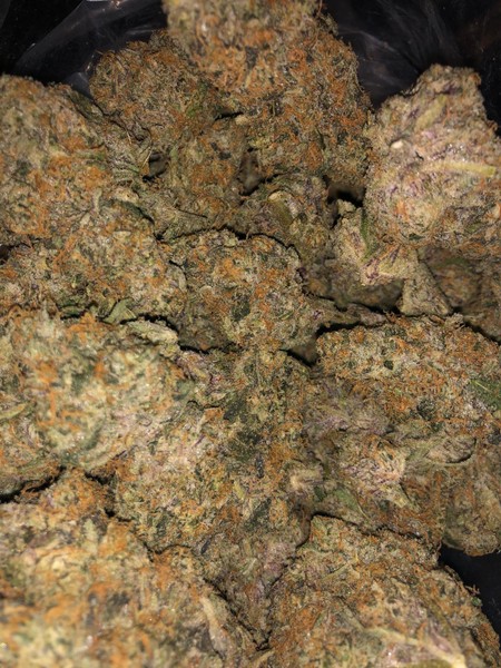 Beast Mode Strain