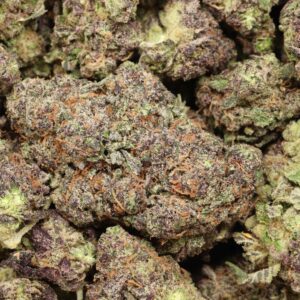 Butterscotch strain