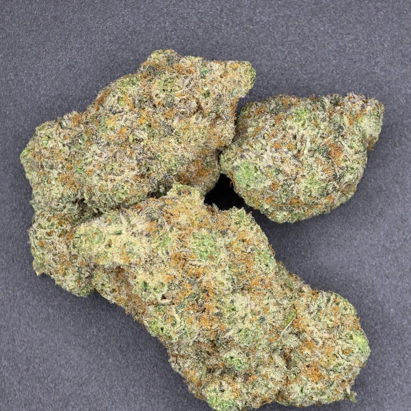 Kali Dog Strain