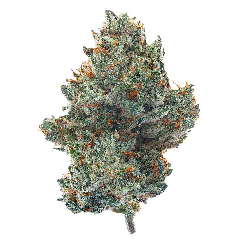 Pre 98 Bubba Kush
