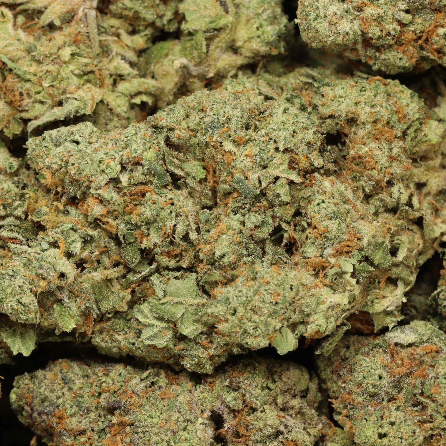 professor x strain
